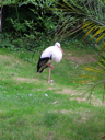 100_1789.JPG