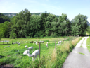 IMG_20120718_165938.jpg